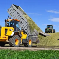 Ensilage : 4 réflexes pour limiter les pertes au silo