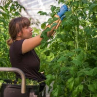Femmes en agriculture : un décret pour faciliter l’accès au statut de cheffe d’exploitation