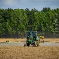 Des odeurs pour remplacer les pesticides : de quoi parle-t-on exactement ?