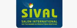 Sival