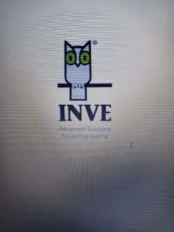 INVE BELGIE