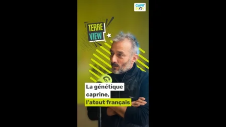 Terre View avec Jérôme Clochard l La génétique caprine française fait la différence