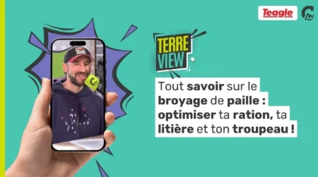 Terre View | Tout savoir sur le broyage de paille : optimiser ta ration, ta litière et ton troupeau (avec Teagle Machinery)