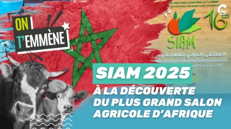 SIAM 2025 : on a visité le plus grand salon agricole d'Afrique ! 😱