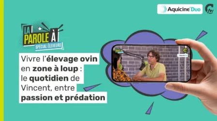 La Parole à spécial éleveurs | Le quotidien de Vincent, entre passion et prédation 🐺🐑