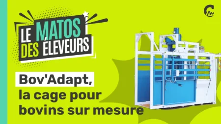 Le Matos des éleveurs l Bov'Adapt, la cage pour bovins sur mesure