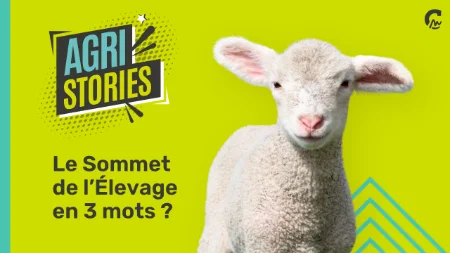 Agri Stories l Le Sommet de l'élevage en 3 mots