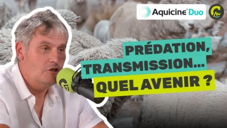 La Parole à... Claude Font | Transmission, prédation et avenir de l’élevage ovin 🐑