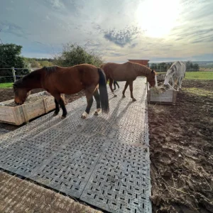 Stabilisation des sols
