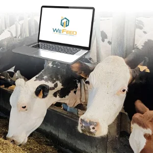 WEFEED RUMINANT