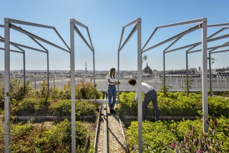 A la découverte de The Island - ©&amp;#160;Saguez &amp; Partners