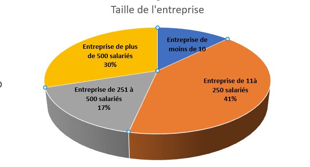 Répartition par taille des entreprises - © Delphine Minchella &amp; Gisèle De Campos Ribeiro
