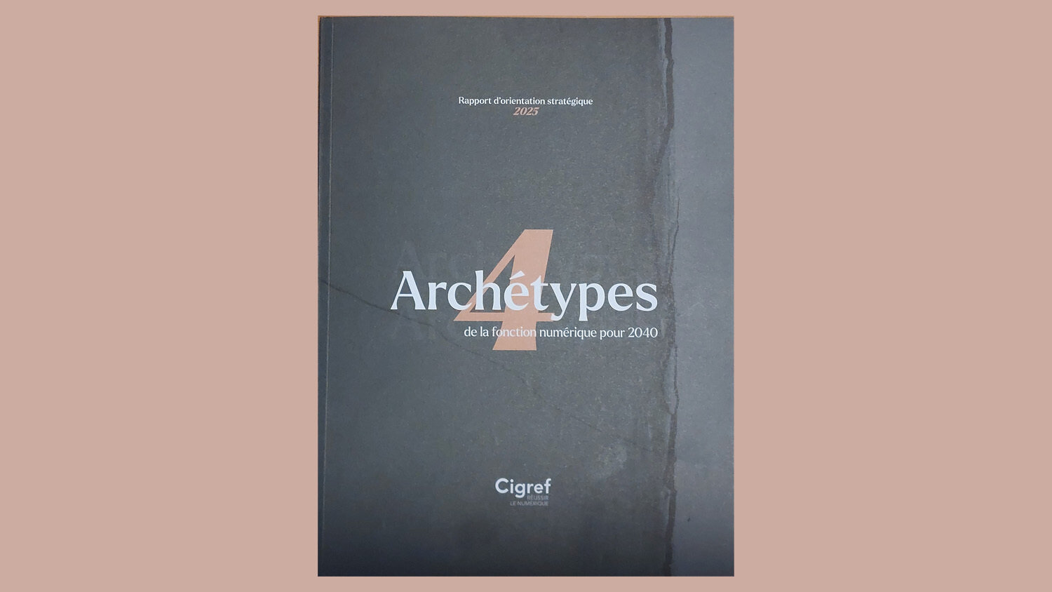 Le Rapport d’Orientation Stratégique (ROS) 2025 a été présenté lors de la soirée.  - © Cigref