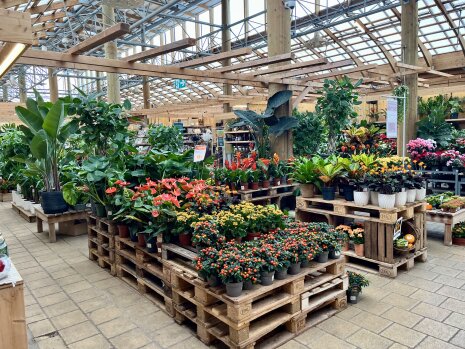 Botanic - ©&amp;#160;D.B