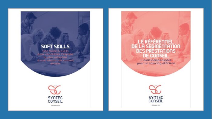 Segmentation et soft skills : deux boîtes à outil pour factualiser les achats de conseil