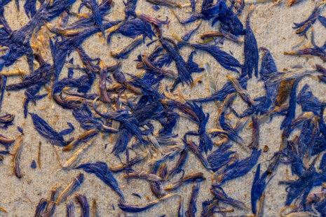 Matériaux biosourcés et éco-conçus dans les bureaux de Yemanja - ©&amp;#160;Jonathan Moyal