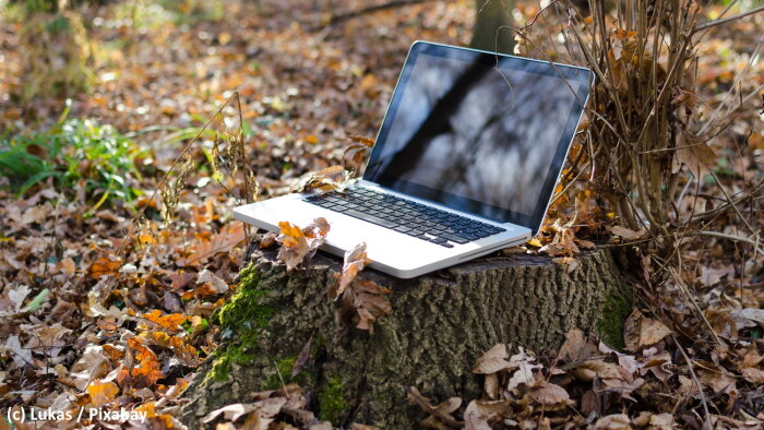 Concilier informatique et respect de l’environnement, une gageure ? - © Lukas / Pixabay