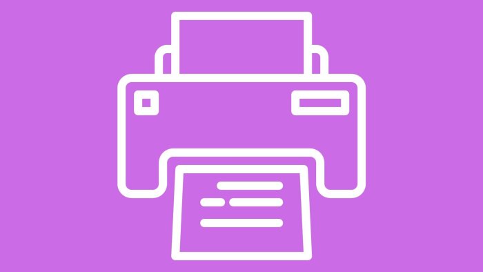 Chaumeil, Esat : Une gestion déléguée de l’impression avec le STPA