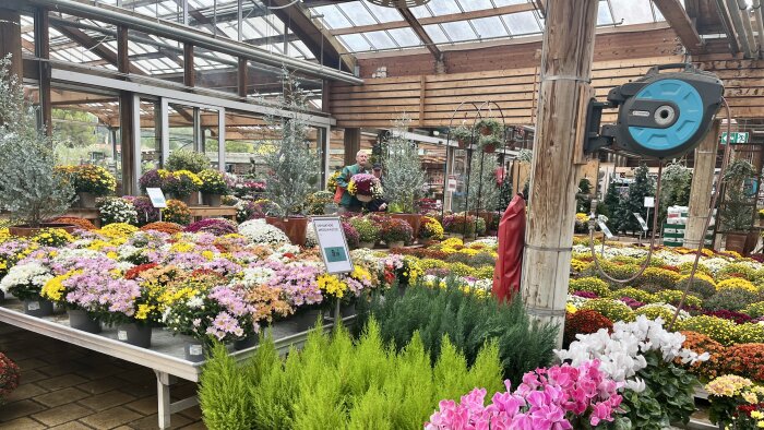  Le marché du jardin en France semble faire preuve de résilience, - © D.B