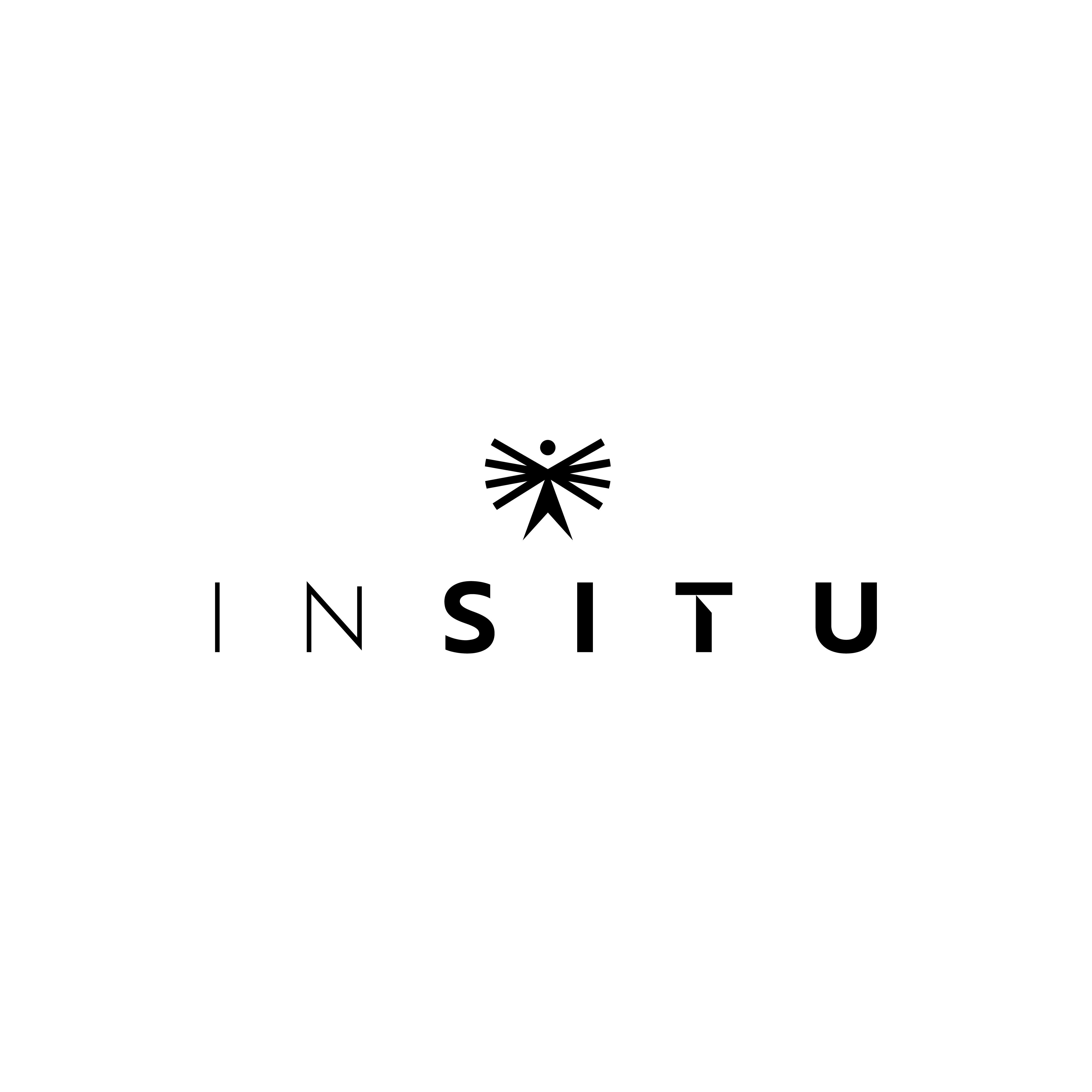 Logo INSITU  - © INSITU