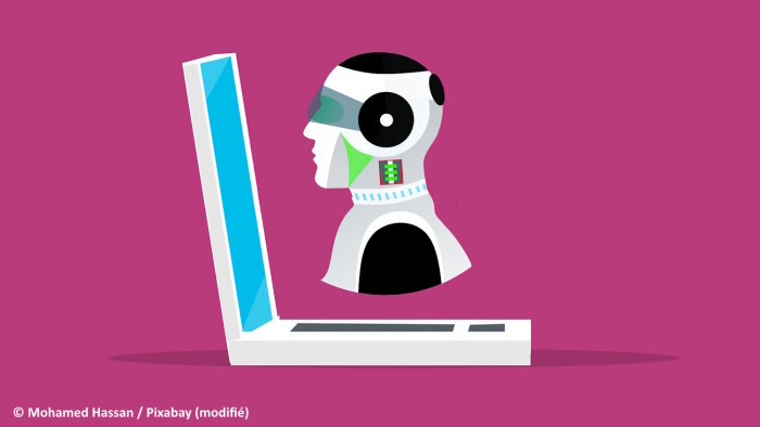 Les bots menacent la grande majorité des sites web qui se révèlent non-protégés.  - © Mohamed Hassan / Pixabay (modifié)