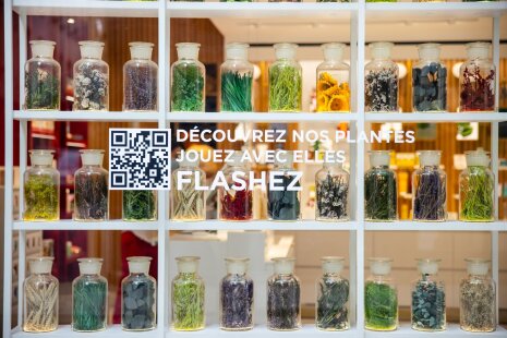 Herbier en vitrine. - ©&amp;#160;Clarins / Olivier Loser