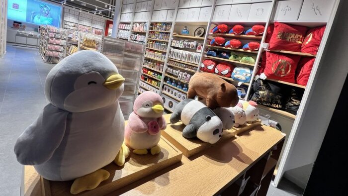 Ariel Wizman (Miniso) : « Nous aurons 25 magasins d’ici la fin de l’année »