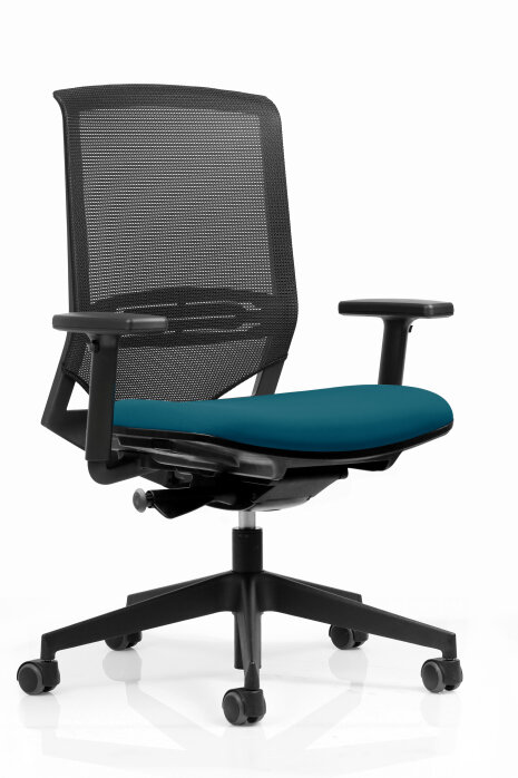 Chaises Ergo Plus - ©&amp;#160;Bluedigo