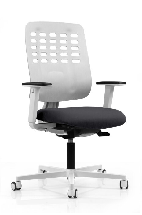 Chaises Ergo Premium - ©&amp;#160;Bluedigo