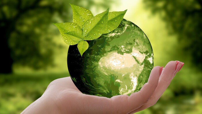 58 % des enseignes proposent de la vente de produits d’occasion ou reconditionnés. - © Annca / Pixabay