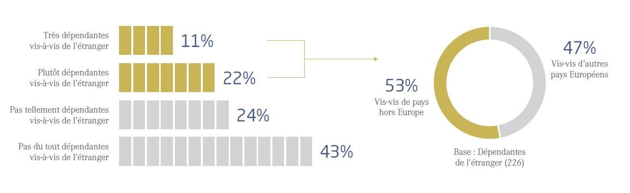 La majorité des questions de dépendance concerne les pays extra-européens.    - © D.R.