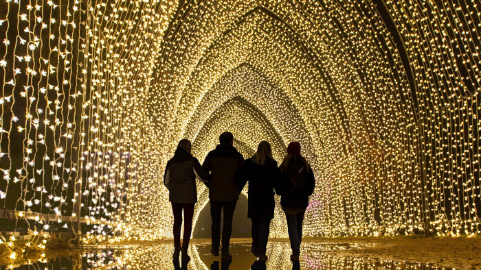 Les Sentiers Lumineux au Parc Floral de Paris, un voyage enchanteresse entre lumière et nature  - © Les Sentiers Lumineux