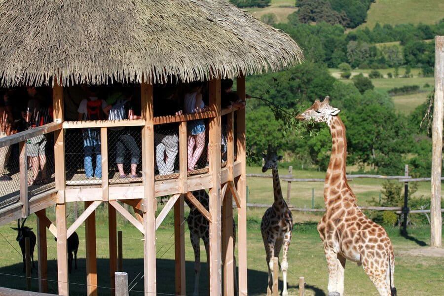 Scolaires et centres de loisirs - Parc Animalier d'Auvergne