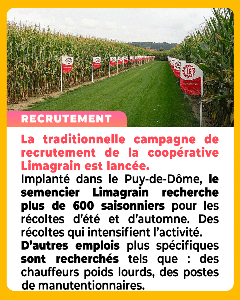 News économiques auvergne
