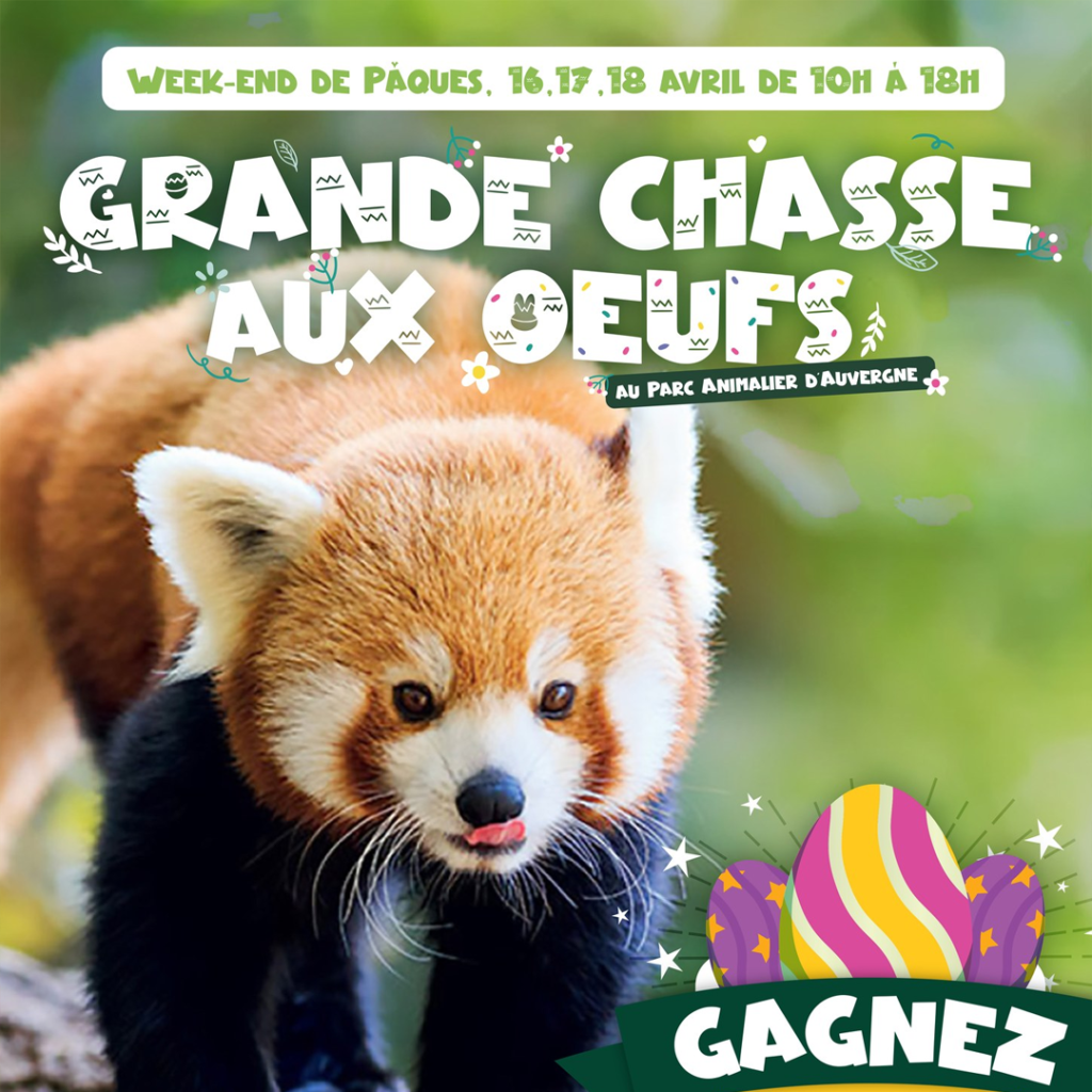 Chasses aux Oeufs Auvergne