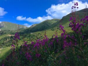 Parc naturel régional des volcans d'Auvergne