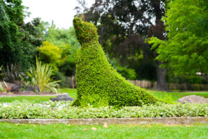 Jardin Lecoq