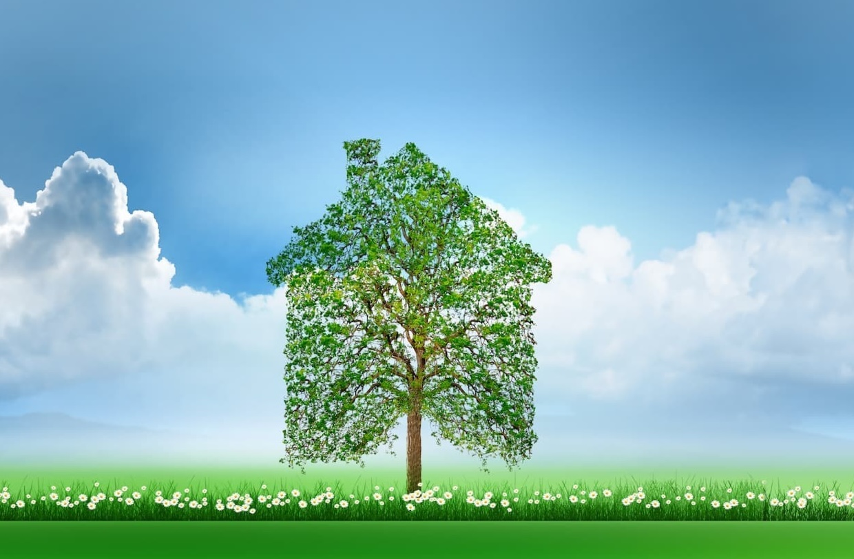 illustration de maison individuelle verte