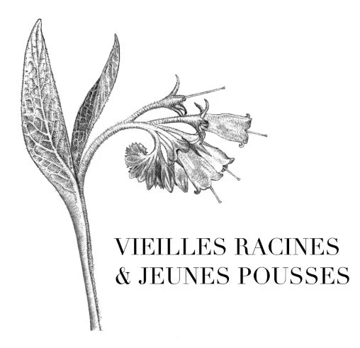 logo%20vrpj%20final%20mini
