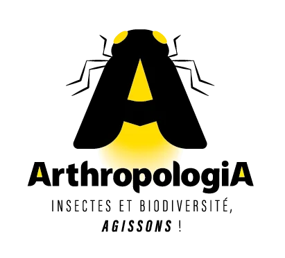 Logo%20Arthro