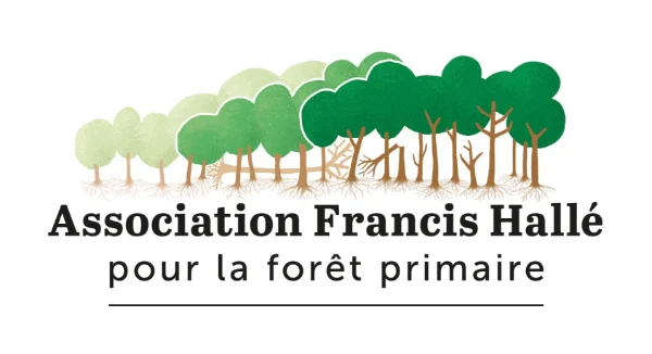 Association%20Francis%20Hall%C3%A9%20pour%20la%20for%C3%AAt%20primaire