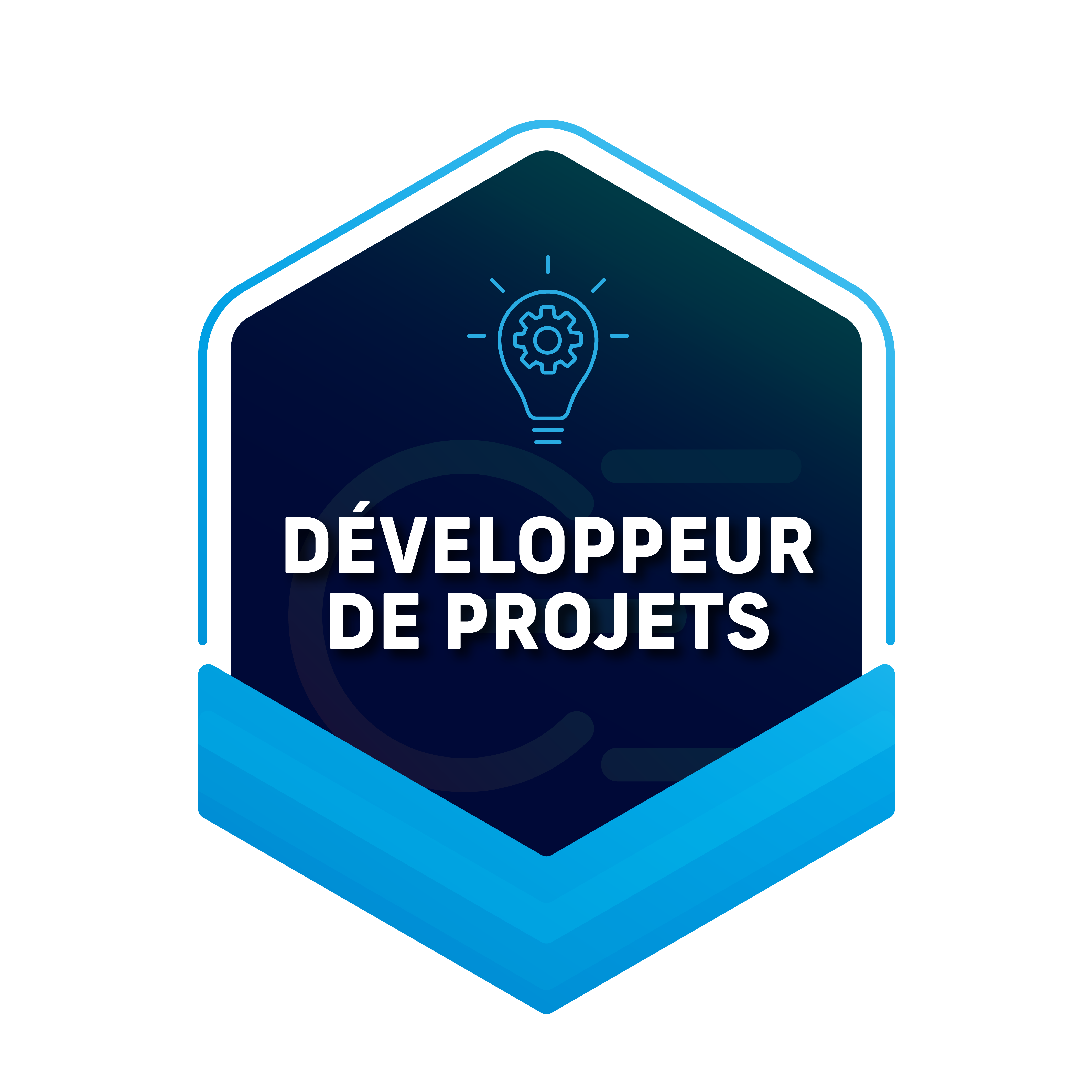développeurs de projets