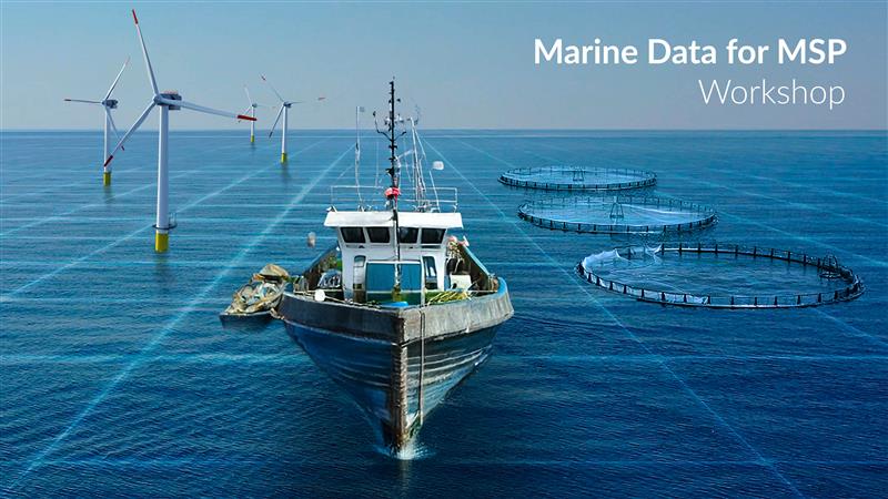 Marine data for MSP - 2026