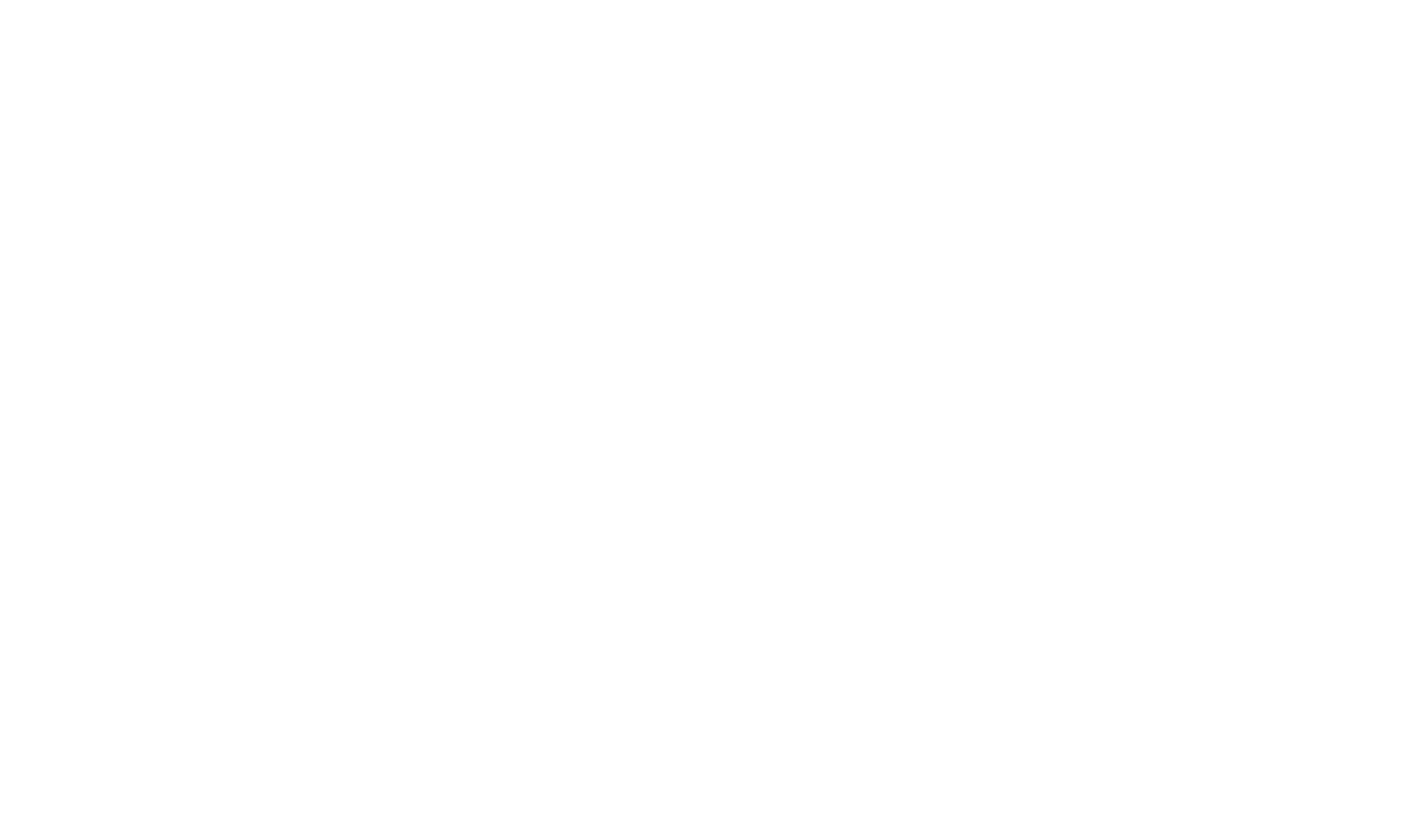 Salon Infirmier Logo