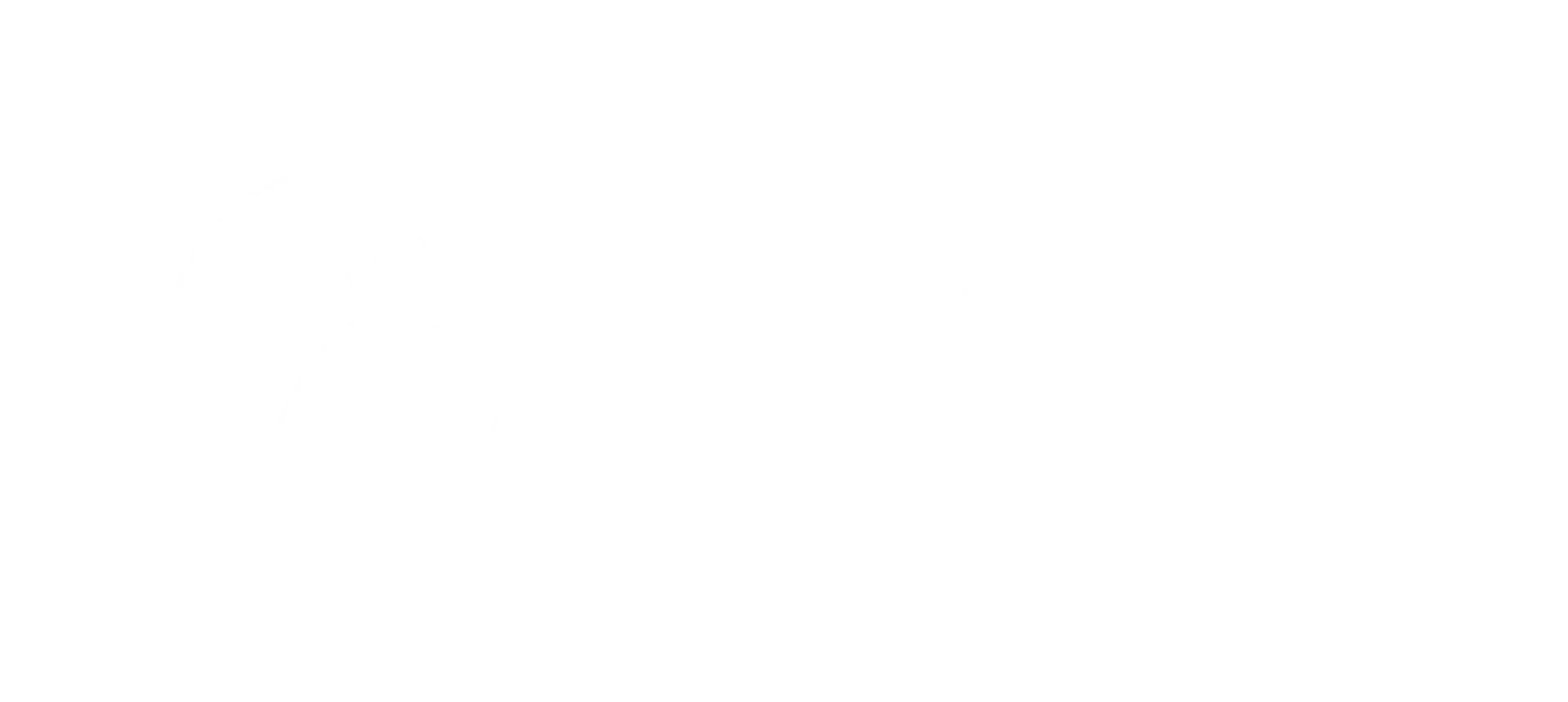 OWASP