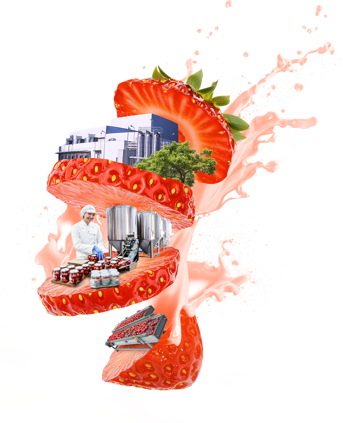 CFIA Toulouse Septembre 2026