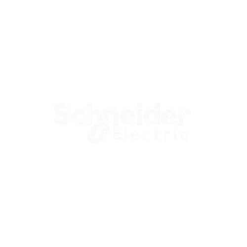SCHNEIDER.png