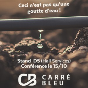 banner-carre-bleu-mobile