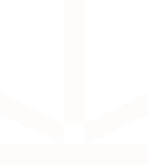 Access a Curated Selection of Opportunities