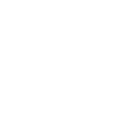Leroy Merlin